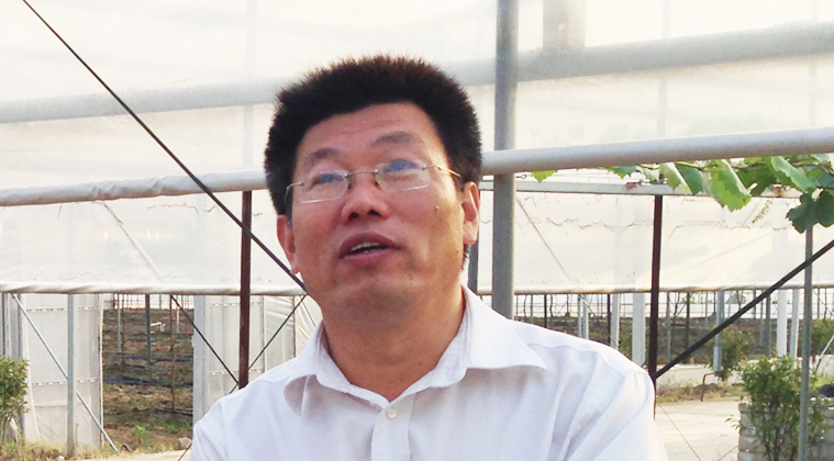 陶建敏