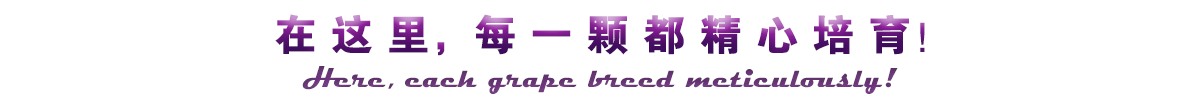 在这里，每一颗都精心培育